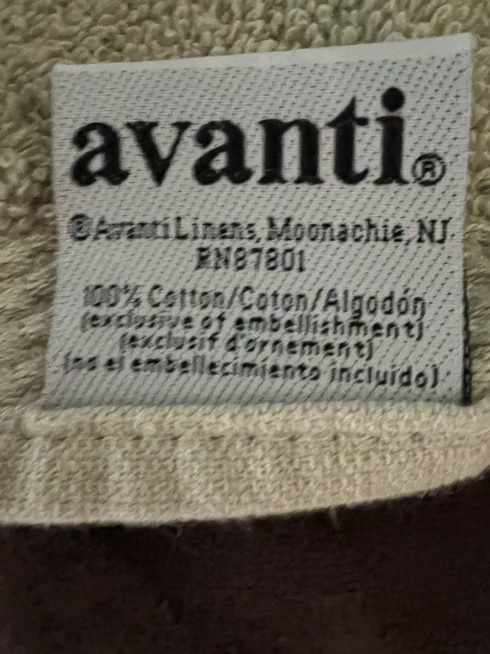 Avanti Decorative Pastel Green Large Barh Towel with decorative trim - Picture 3 of 3